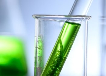 biocombustibles