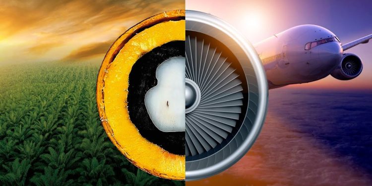 Acelen Renewables
