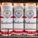 Budweiser
