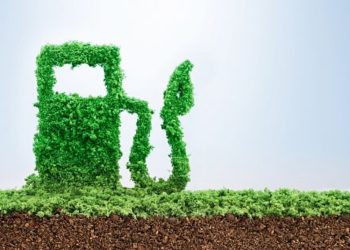 UPNA se mantiene firme en la producción de combustibles limpios