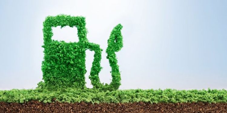 UPNA se mantiene firme en la producción de combustibles limpios