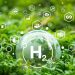El hidrógeno verde es clave en la transición energética de Europa