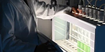 Hidrógeno