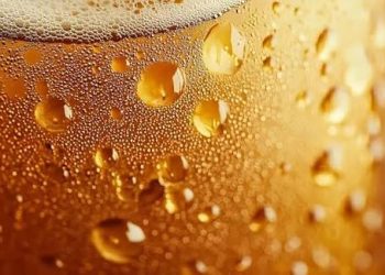 Cerveza